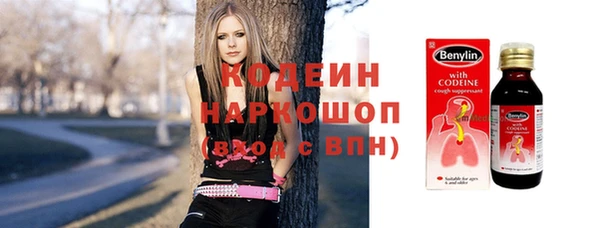 молекула духа Лабытнанги