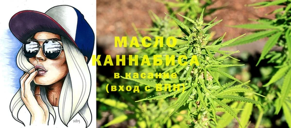гашик Алексеевка