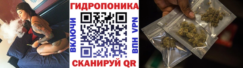 где продают   Южно-Сахалинск  Бошки марихуана OG Kush 